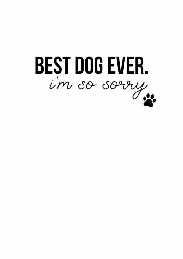 dog pet Sympathy Card 5765 created by Open Space Collective