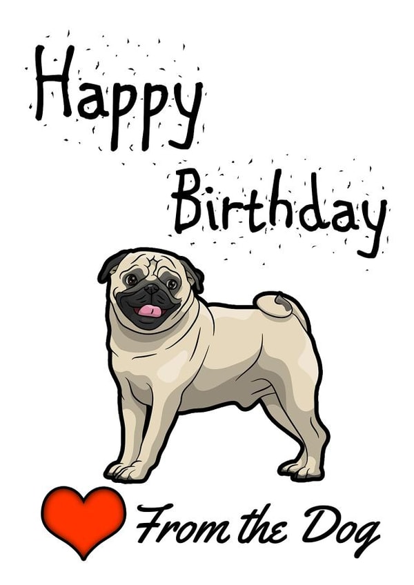 pug pet Birthday Card 14803 created by Love from the Pet