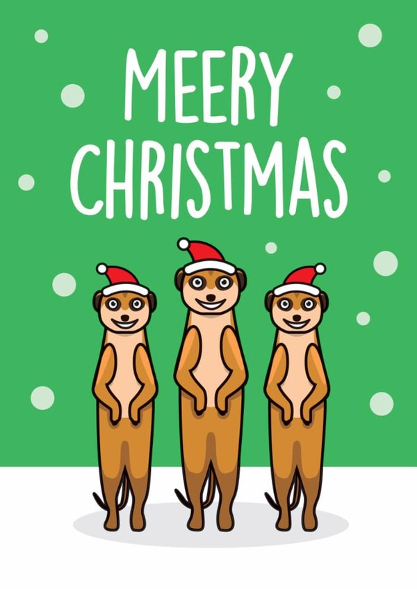 Meerkat Christmas Card created by Thirty Mussels