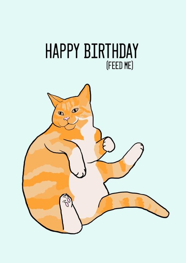Cheeky cat birthday card 1000 created by Stripy Fish Designs