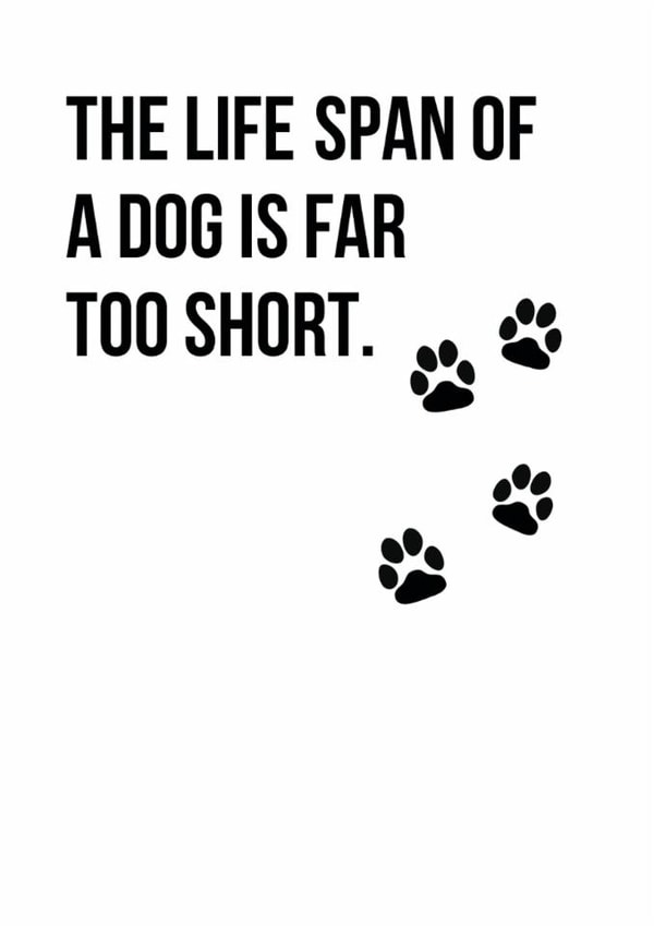 lifespan short Sympathy Card 5766 created by Open Space Collective