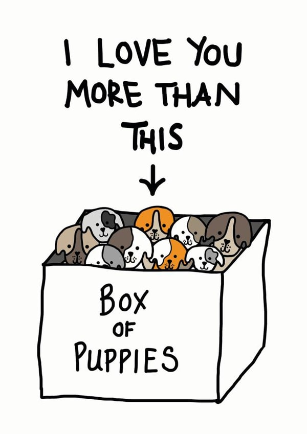 adult box of puppies Valentines Day Card 9834 created by Cat Flap Cards