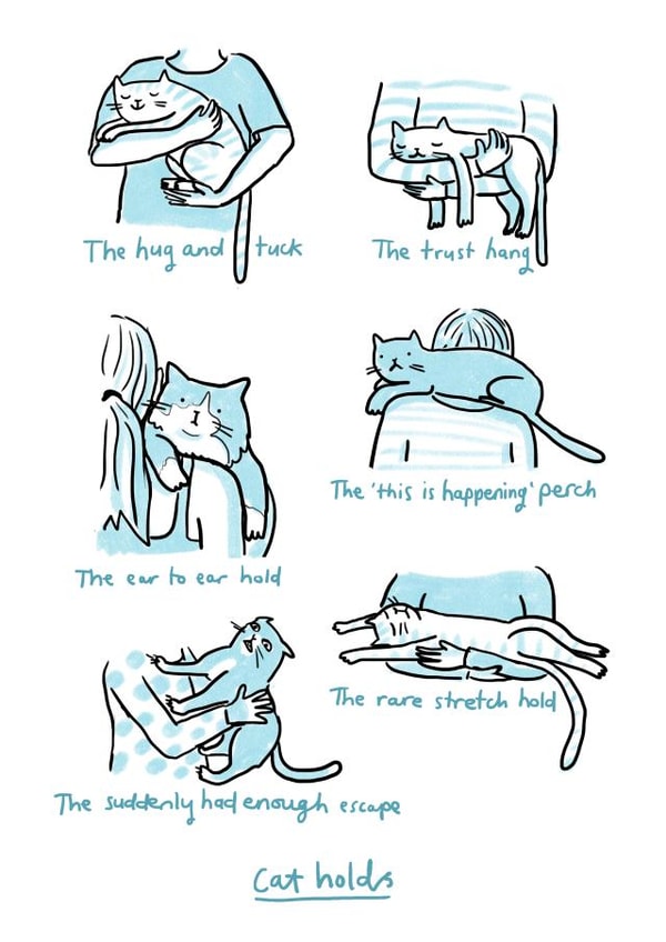 Cat related card for cat lovers - favourite cat holds created by Sarah Ray