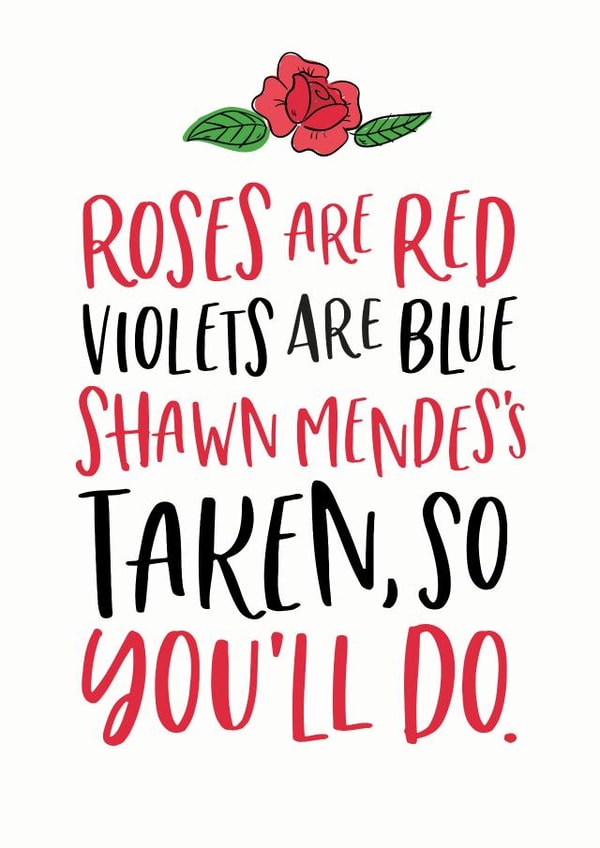Shawn Mendes Rose Are Red Valentines Day Card 28323 created by Mrs Best Paper Co.