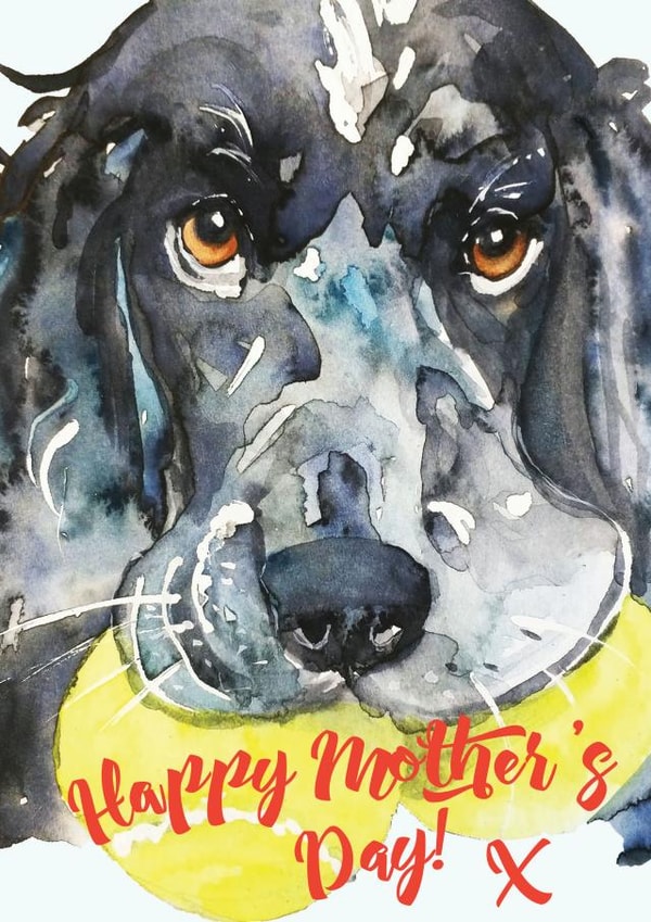 Cute Mothers Day Card - Mum - Spaniel - Happy Mother's Day created by Jo Scott Art