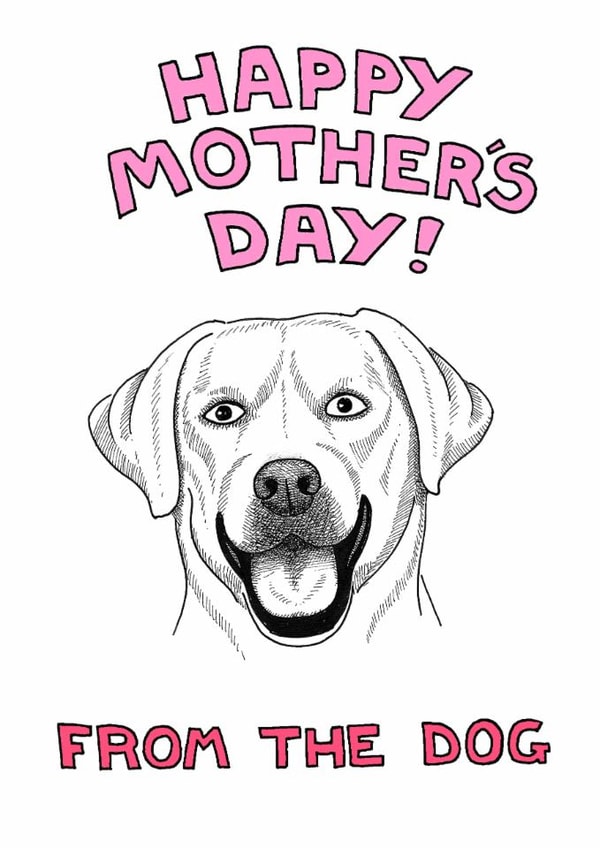 labrador adult Mothers Day Card 1944 created by Off The Leash Cartoons by Rupert Fawcett