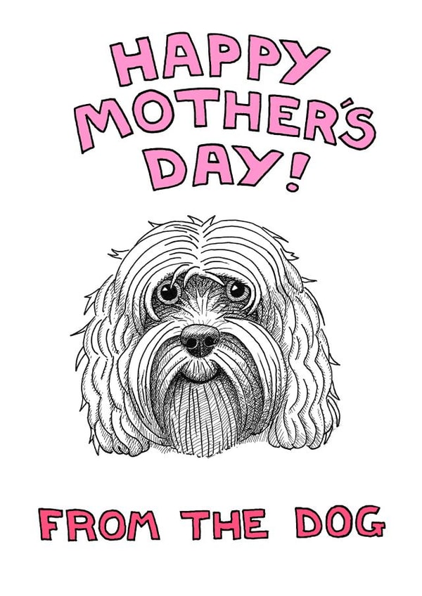 cockapoo adult Mothers Day Card 1947 created by Off The Leash Cartoons by Rupert Fawcett