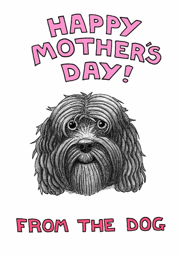 cockapoo adult Mothers Day Card 1948 created by Off The Leash Cartoons by Rupert Fawcett