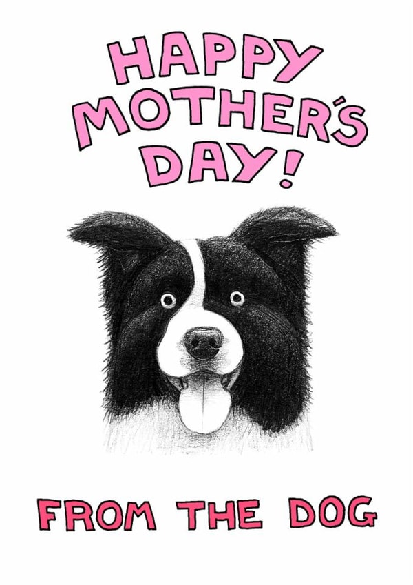 collie adult Mothers Day Card 1950 created by Off The Leash Cartoons by Rupert Fawcett