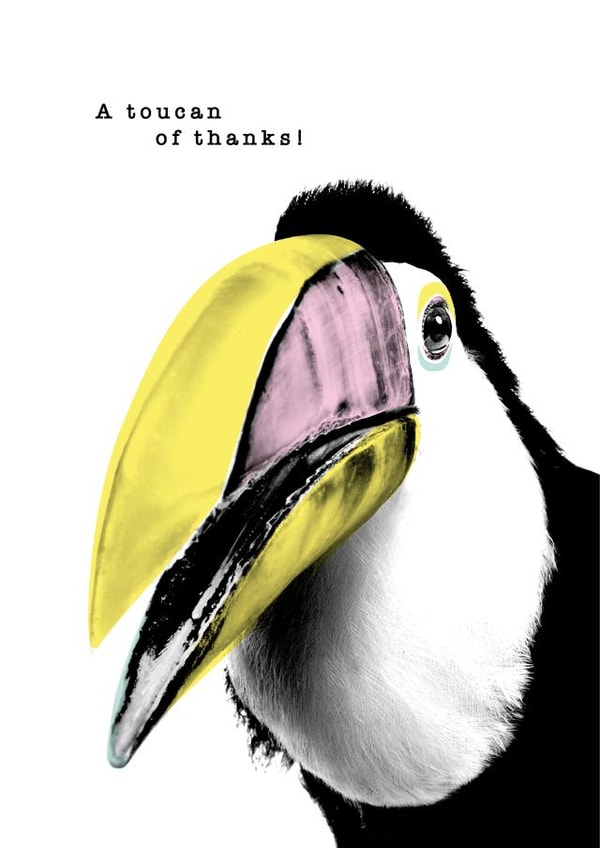 TOUCAN adult Thank You Card 9140 created by PAPAGRAZI