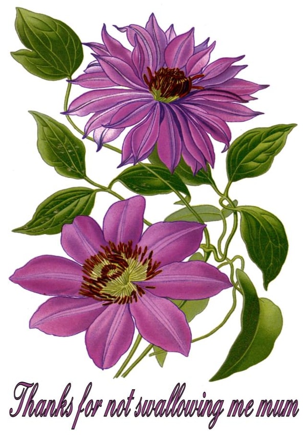 thanks for not Mothers Day Card 40495 created by Cairn Newton