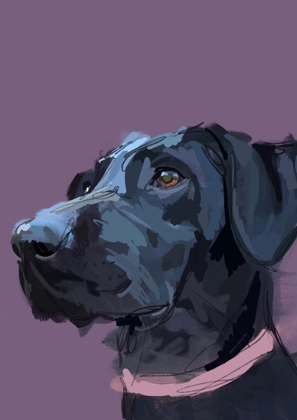 arty animal Just because Card 15507 created by Lizzie Barrett