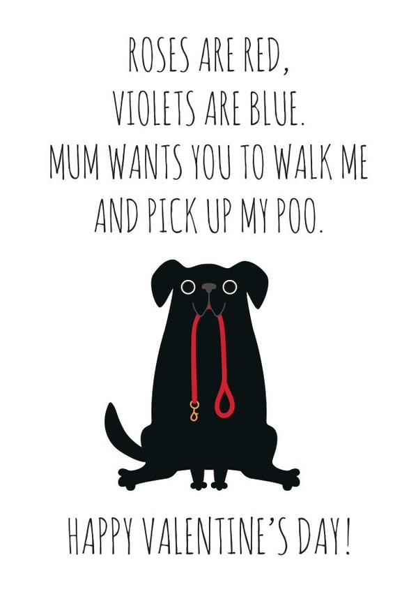 adult illustration Valentines Day Card 7615 created by Chelsey Adams