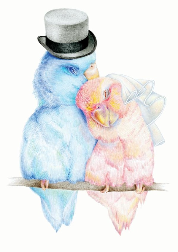 Card 24030 created by DECKLED EDGE LTD