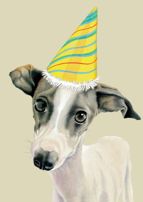 party hat whippet Birthday Card 1515 created by DECKLED EDGE LTD