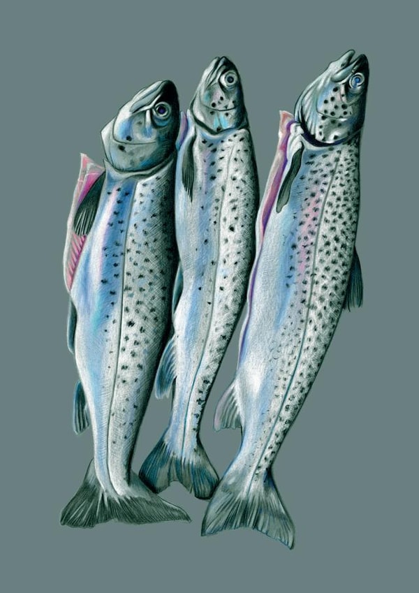 Card 24032 created by DECKLED EDGE LTD