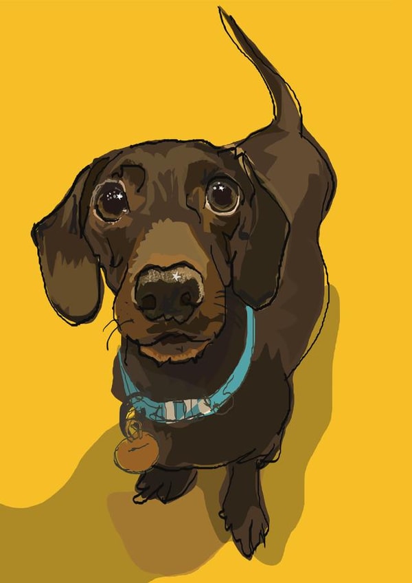 dachshund Sausage Dog Birthday Card 16836 created by Higgledy Pets