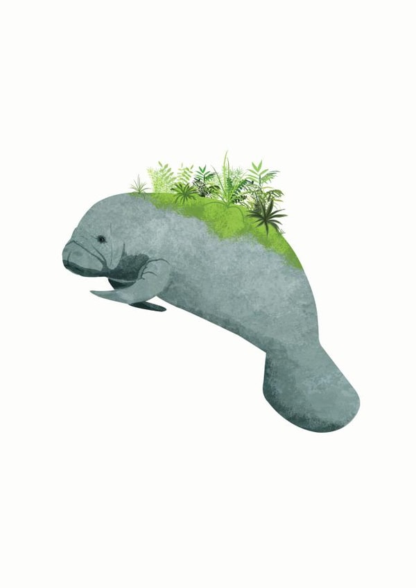 manatee animal Card 28379 created by Katherine Blower