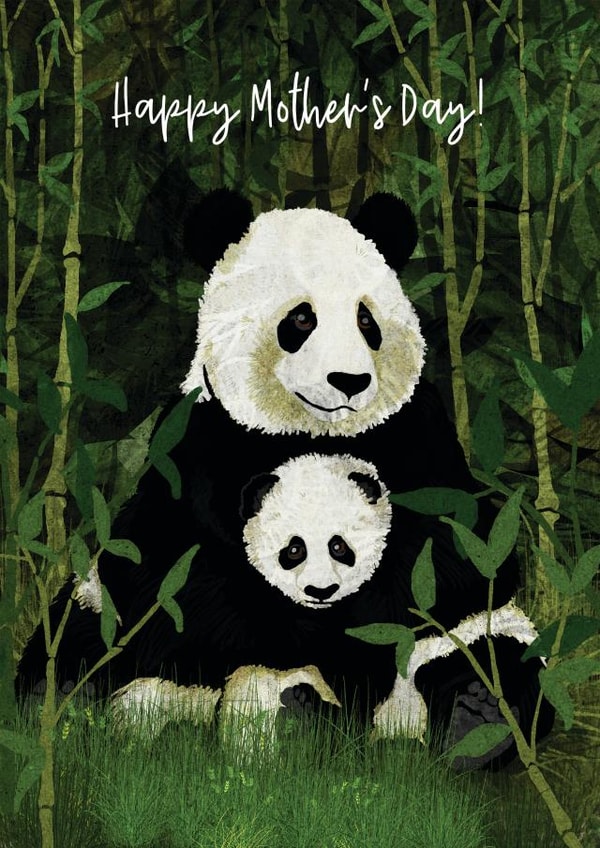 panda giant Card 28380 created by Katherine Blower