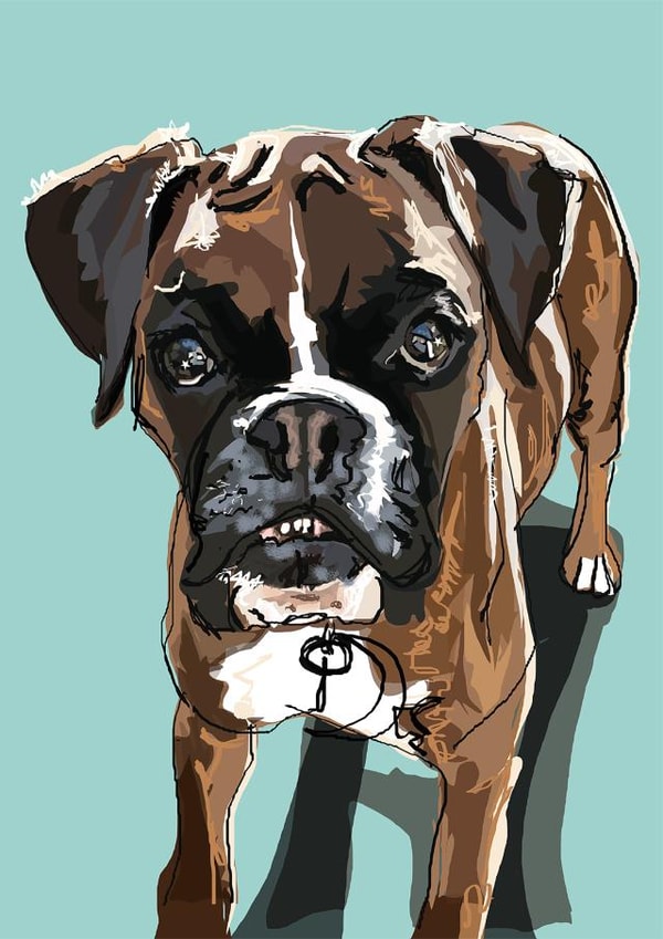 boxer dog Birthday Card 16843 created by Higgledy Pets