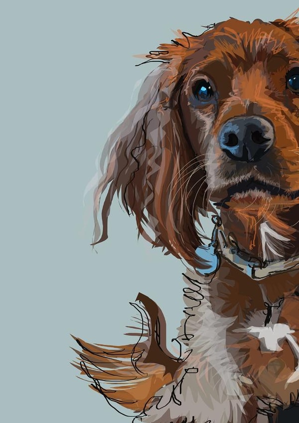 spaniel pet Birthday Card 16844 created by Higgledy Pets