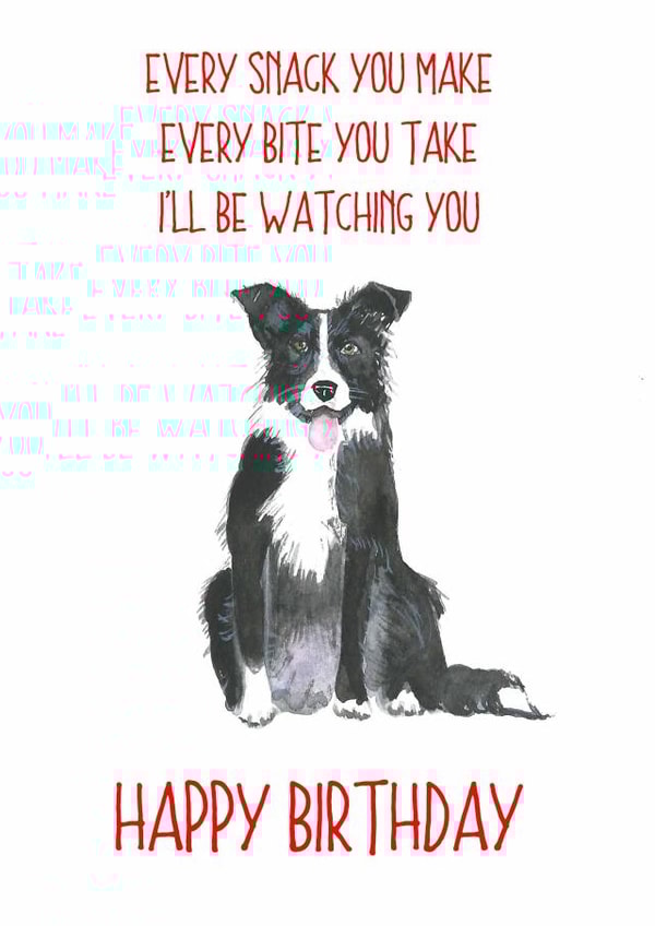 collie dog Birthday Card 14190 created by Sarah Maddox