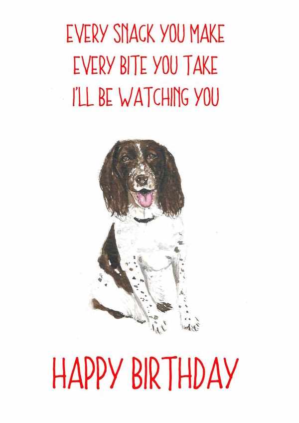 spaniel watching Birthday Card 14195 created by Sarah Maddox