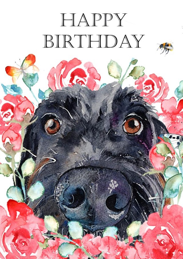 Happy Birthday from the dog created by Jo Scott Art