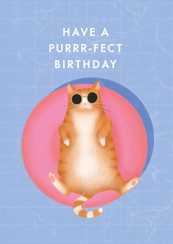 purr purfect Birthday Card 17648 created by Studio Mads