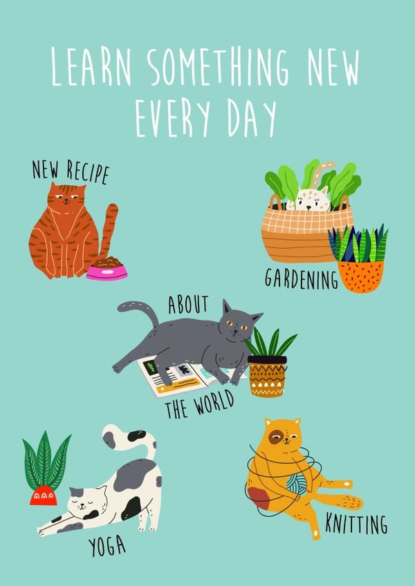 sendasmile learn Just because Card 17558 created by Luna & Sol Co Design