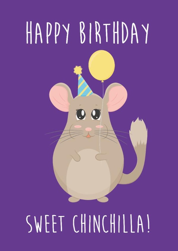 Sweet Chinchilla Happy Birthday Card created by @donosdoodles