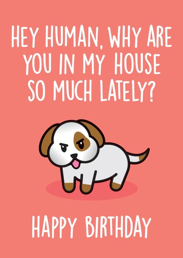 human why Birthday Card 31071 created by Thirty Mussels