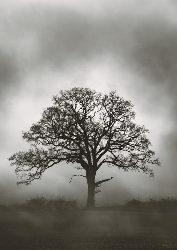 Miss you Isolation Card 31990 created by Duncan Buchanan