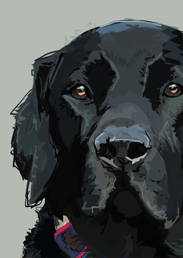 Card 41376 created by Higgledy Pets