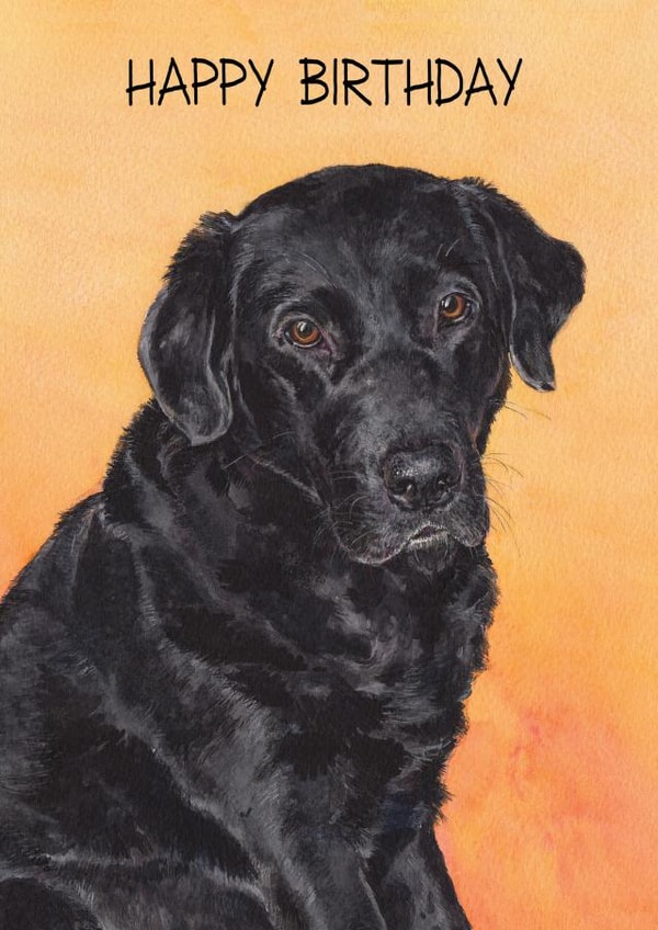 Adult Dog Birthday Card 12547 created by Richard Marsh Art