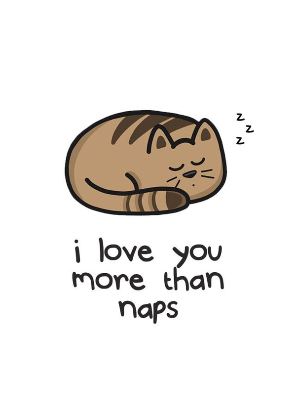Cat Naps Valentines Card created by Innabox