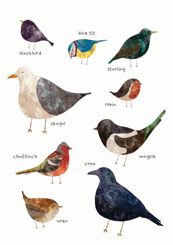 birds watching Just because Card 18674 created by Hidden Tales