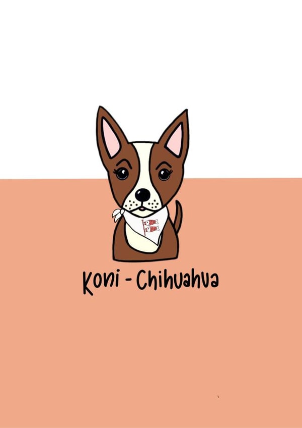 Chihuahua dog Just because Card 14089 created by Emma Riches - Emma Riches Art 