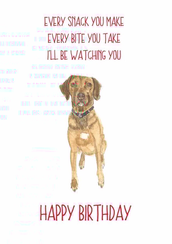 labrador every snack you make Birthday Card 14204 created by Sarah Maddox