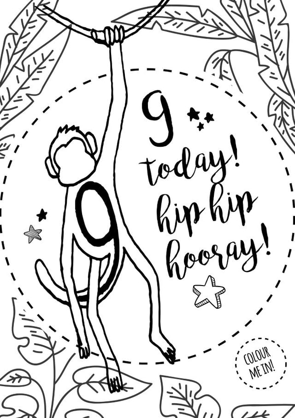 9 monkey Birthday Card 2427 created by Pippa Race