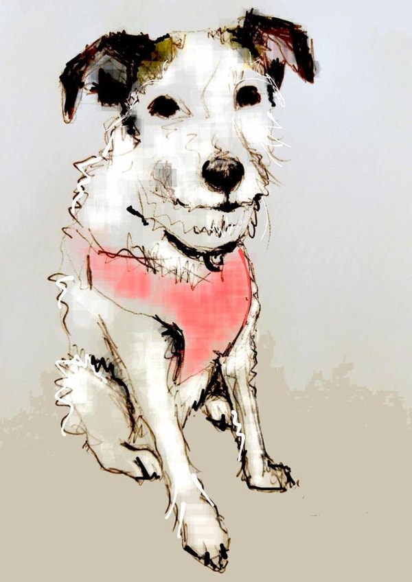 adult animal Birthday Card 19022 created by #drawingtokeepfromtheboring