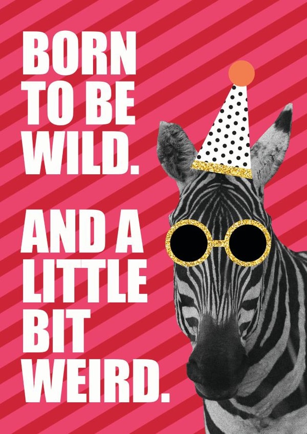 born to be wild zebra Birthday Card 18352 created by Lamb & Bear Creative