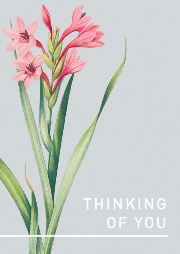 thinking of you floral Sympathy Card 2439 | thortful