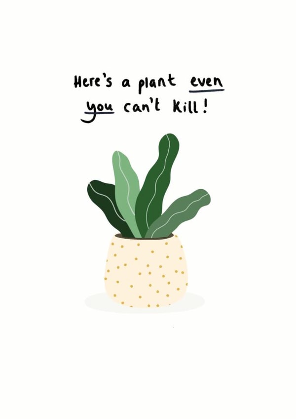 here's a plant even you can't kill pot plant New Home Card 18382 created by Fruit Fly Press