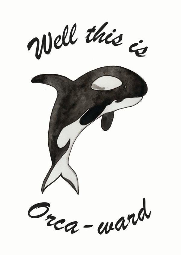 orca awkward Birthday Card 19150 created by PunderWater Designs