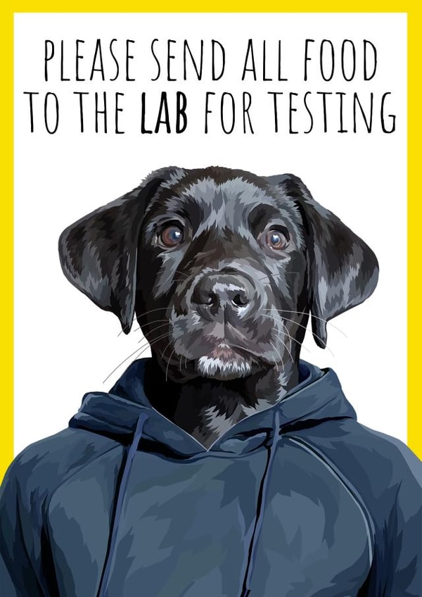 Lab testing card created by Wafflemamaart