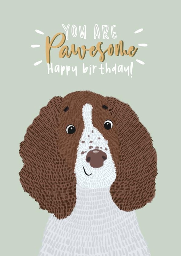 spaniel cocker Birthday Card 17762 created by Lily and Daisy
