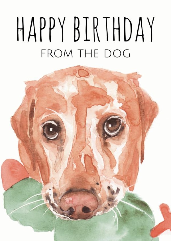 golden labrador Birthday Card 1601 created by Jo Scott Art