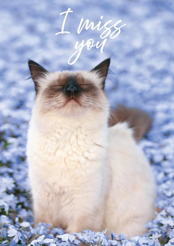 cat miss Card 23490 created by Alina Shevelina