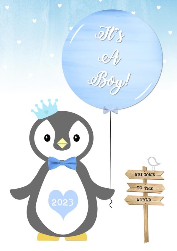 baby, birth, boy, newborn, congratulations, cute, animal, penguin, 2023 created by Little Letters with Love